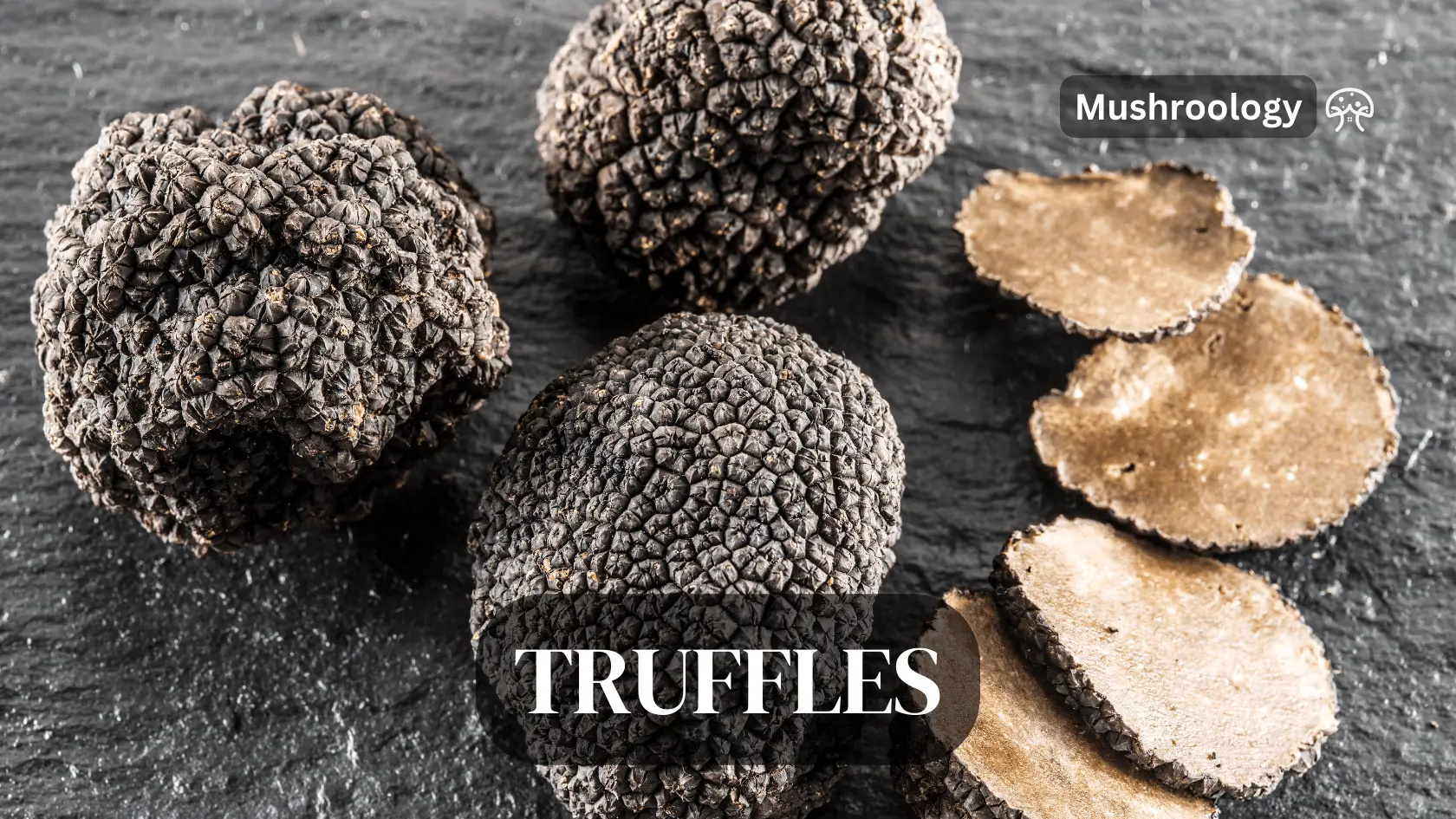 Black truffles