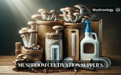 Mushroom Growing Equipment and Tools