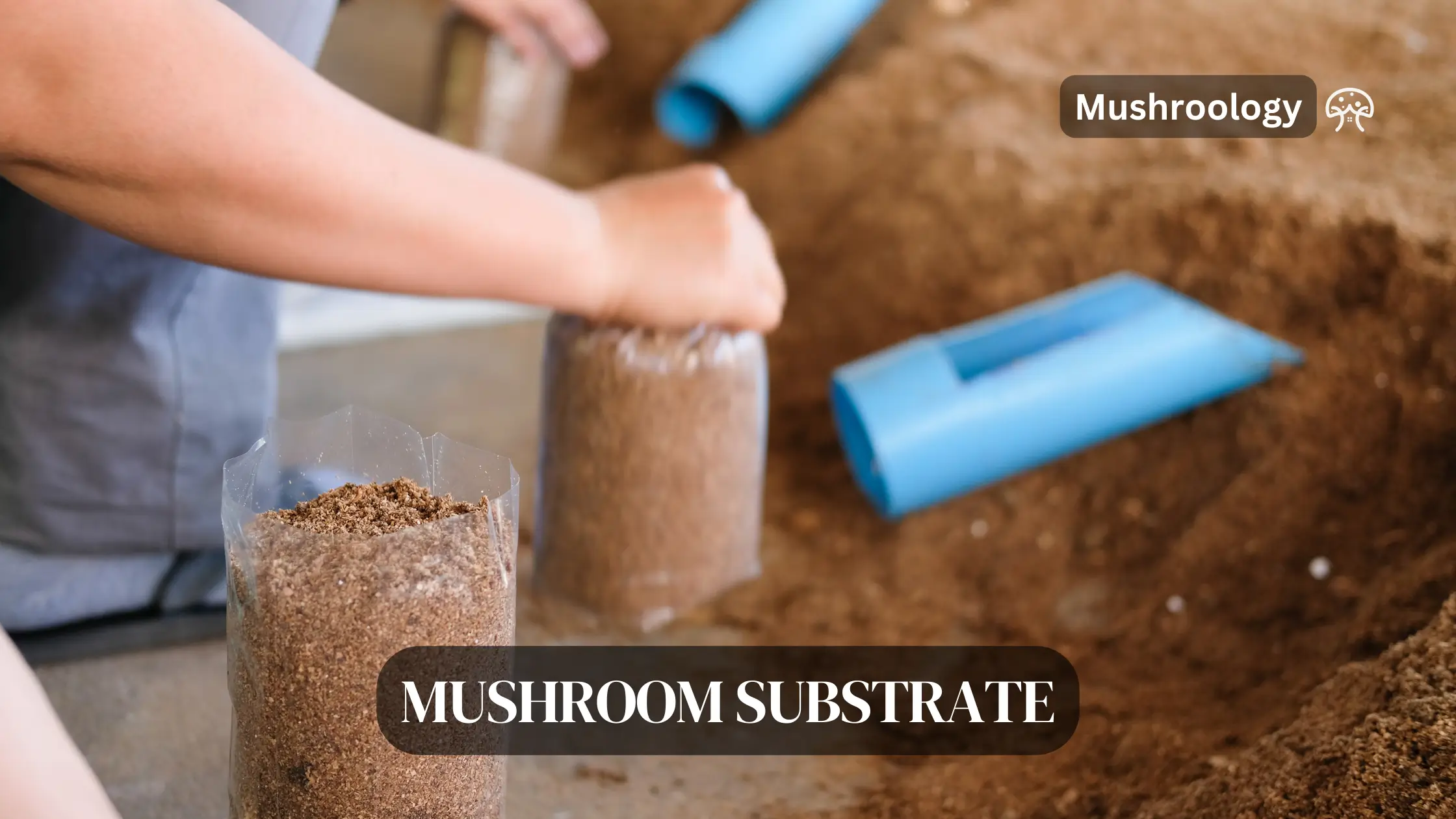 Mushroom substrate