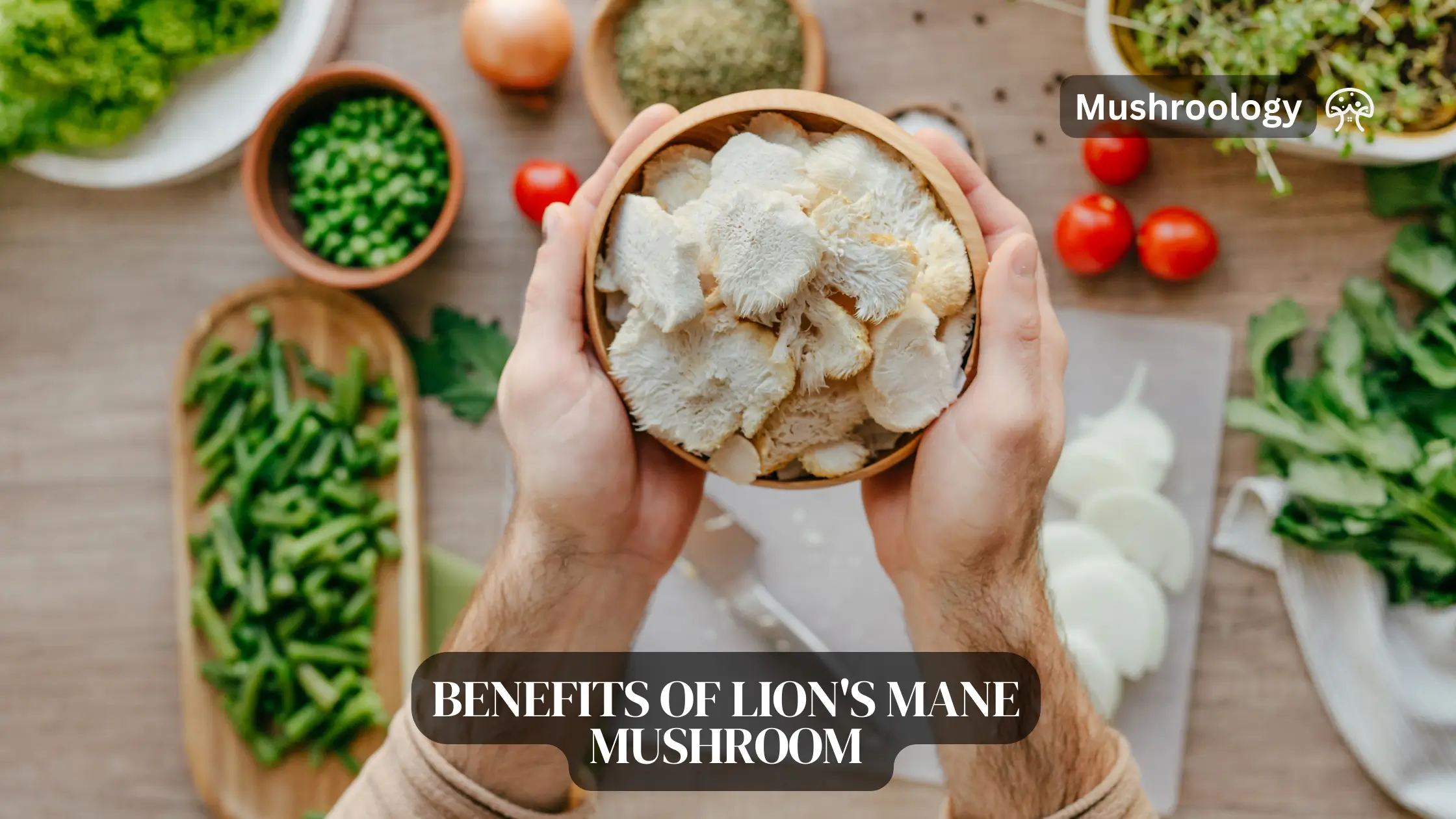 Lions Mane mushroom benefits