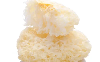 Tremella Fuciformis Benefits: Nature’s Beauty Secret